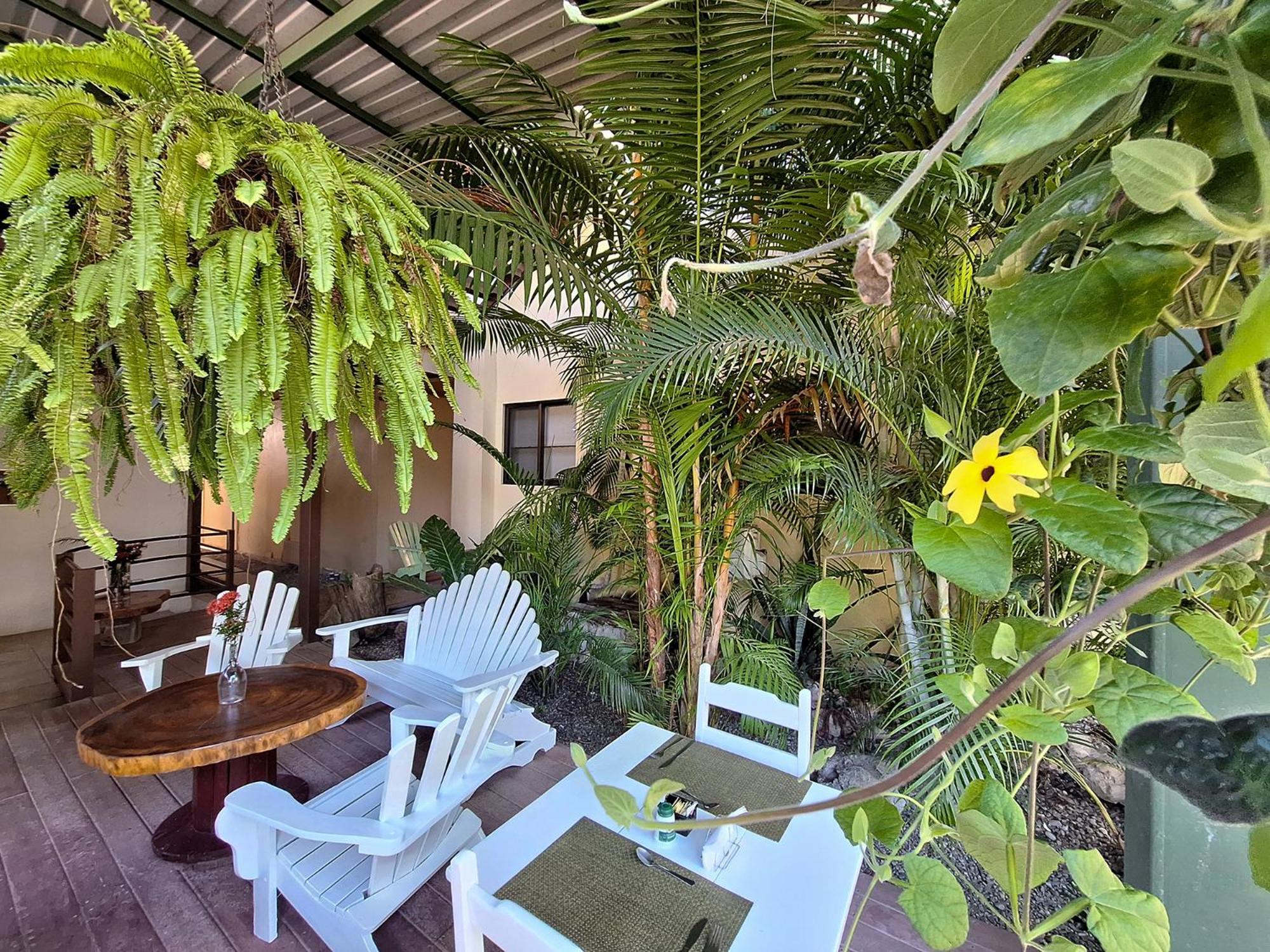 Infiniti Hotel Puerto Viejo de Talamanca Luaran gambar