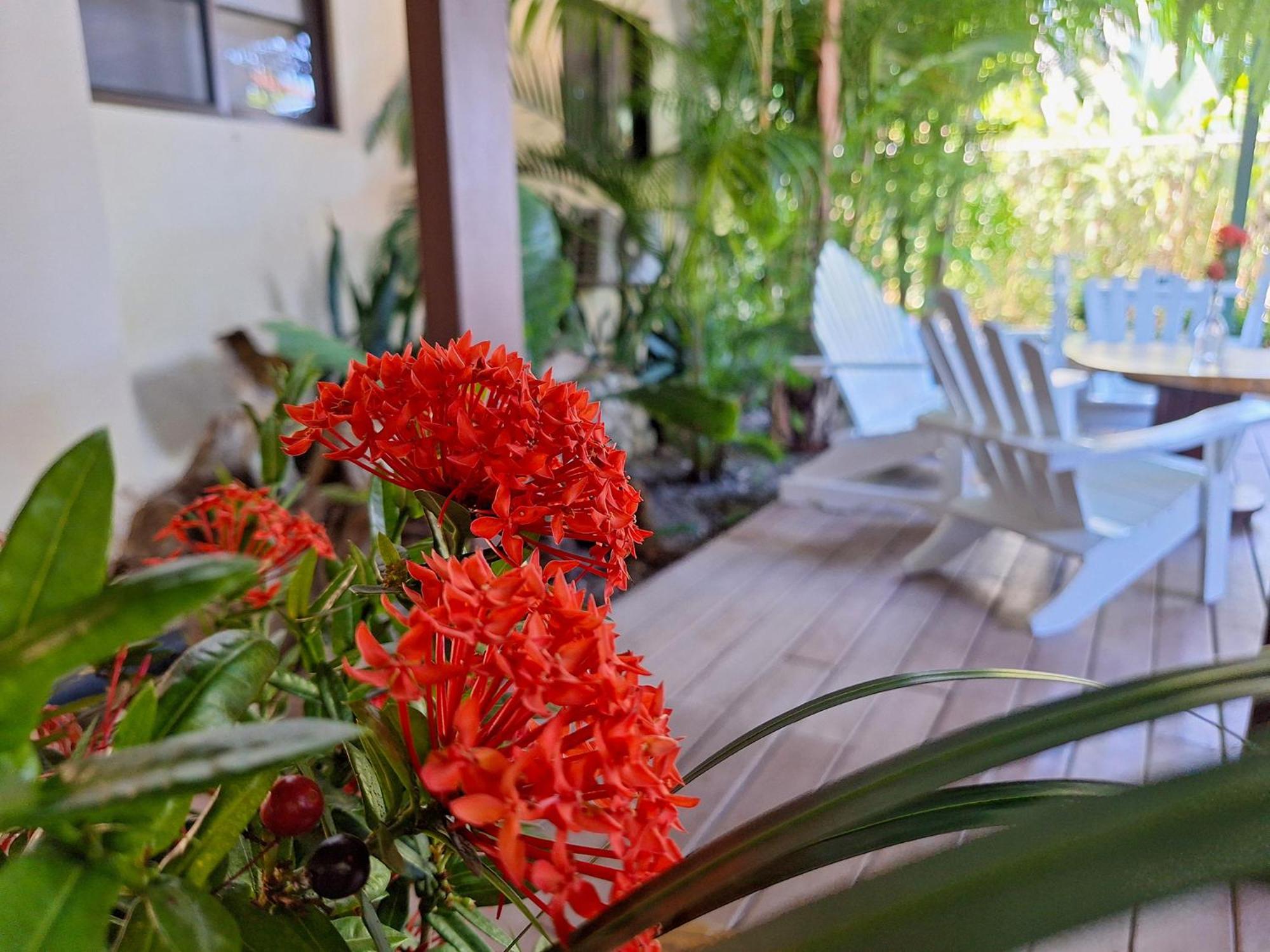 Infiniti Hotel Puerto Viejo de Talamanca Luaran gambar